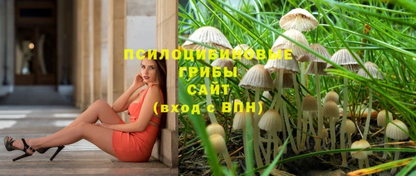 эйфоретик Кукмор