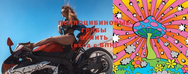 эйфоретик Кукмор