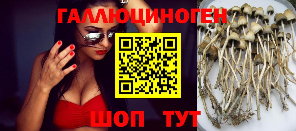 Петрозаводск  Псилоцибиновые грибы Magic Shrooms  Вход с VPN  Галлюциногенные грибы MAGIC MUSHROOMS 